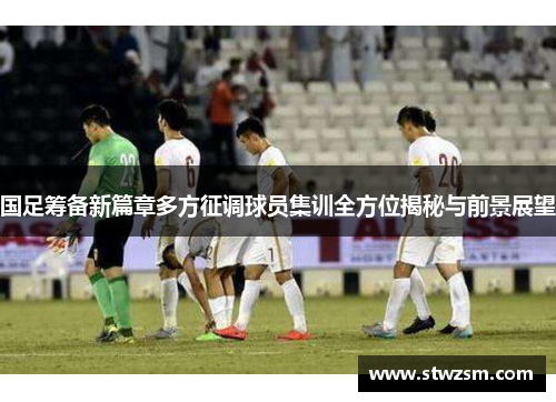 国足筹备新篇章多方征调球员集训全方位揭秘与前景展望