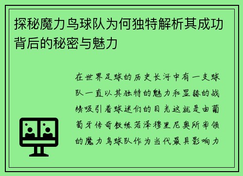 探秘魔力鸟球队为何独特解析其成功背后的秘密与魅力